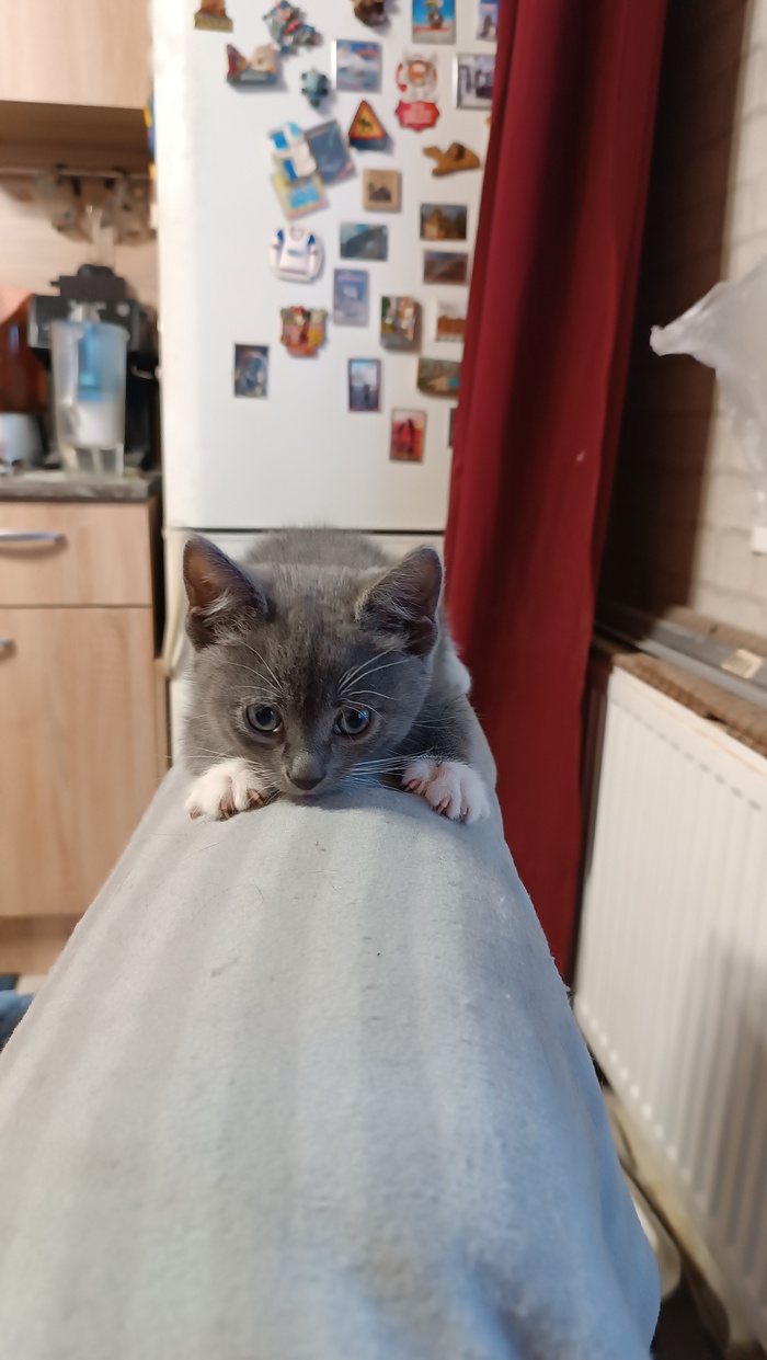 ��������, ������ 0.3