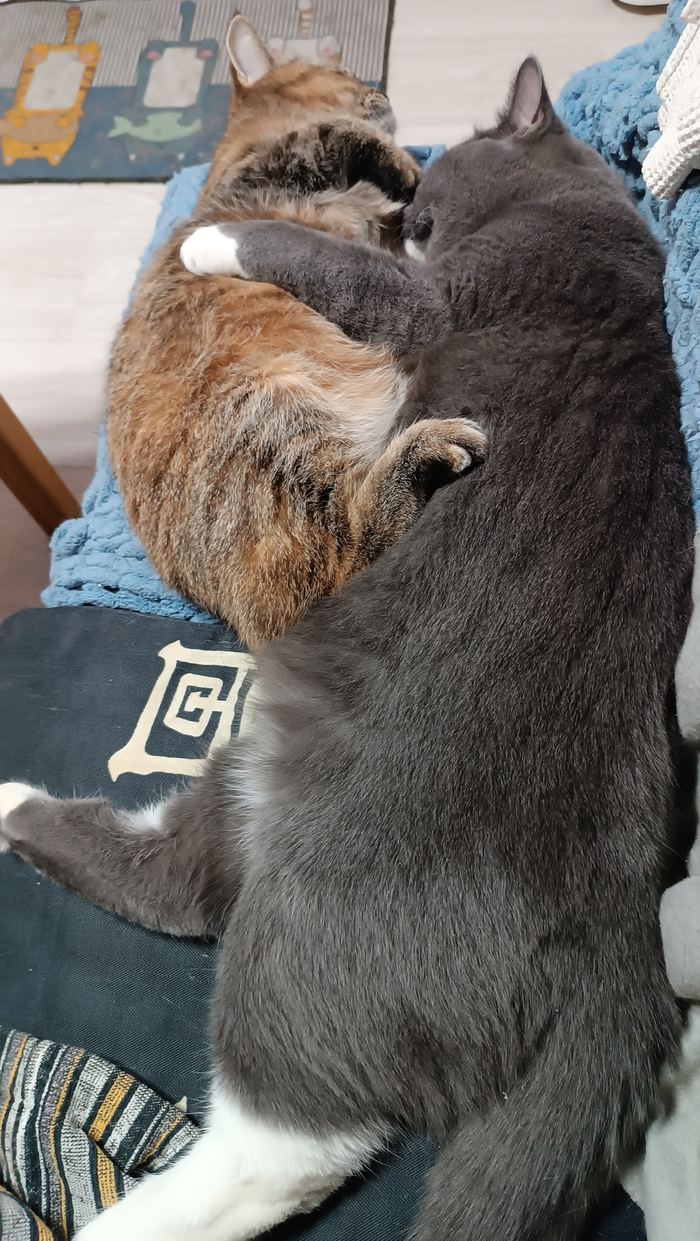 ������ 5 ���, ���� ���... 