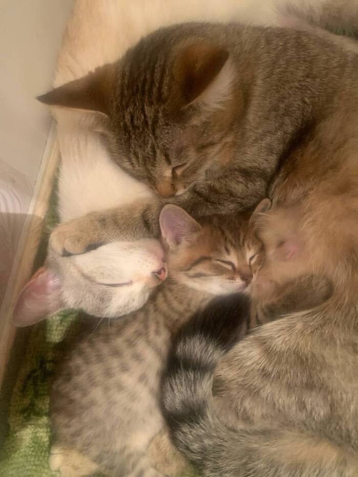 ��������