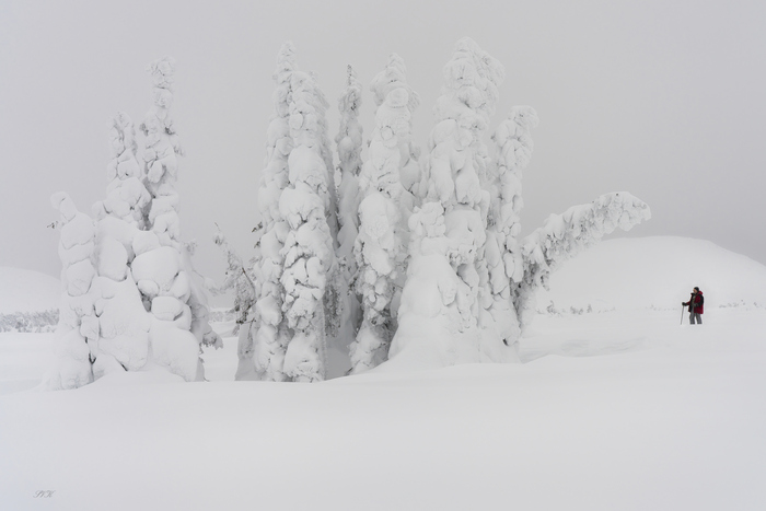 SONY ILCE-7RM3 ��������: 1/50 sec ���������: f/9 ����������������: ISO 125 35-�� �������� ����������: 50 mm ��������: FE 24-70mm F2.8 GM