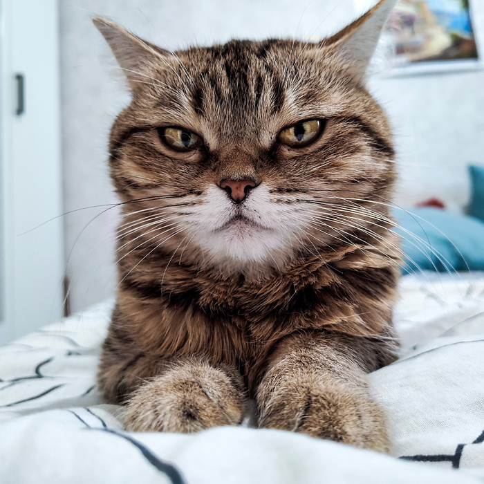 ���� �� REalme 13pro+