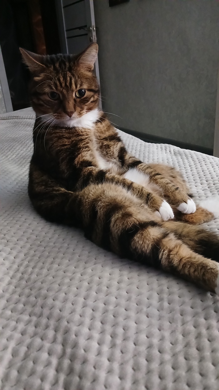 � ��� ���������� ����� ����