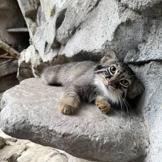 �� ������ ���� ���������?