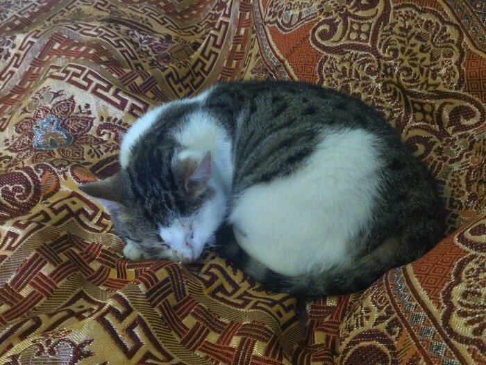 �������� ����� ��. �������������