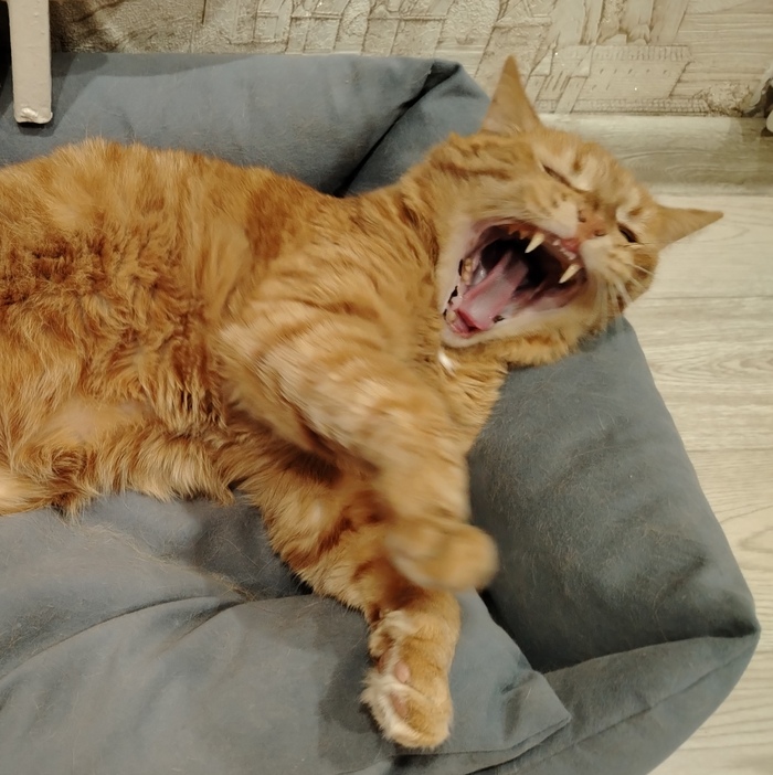 ����� �� ���� ���������� �� �� ������ ������� ���� ����. ���� � �� ��. ������� � ������ ����. �������� ���!�