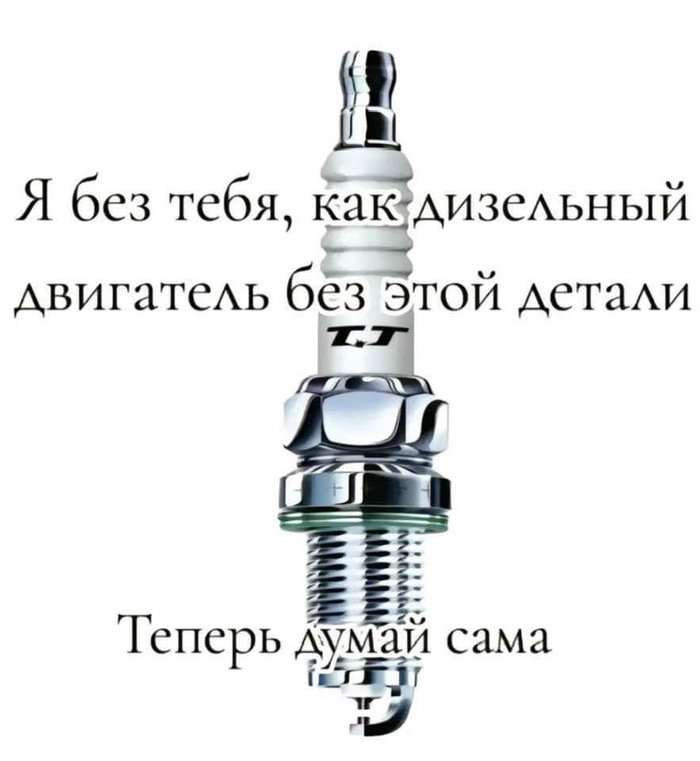 �������� �����