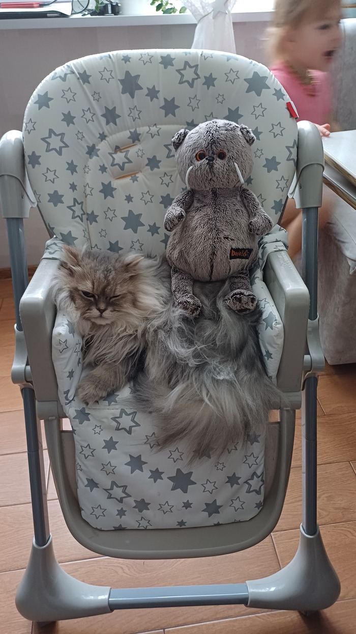 ������ ���� ����