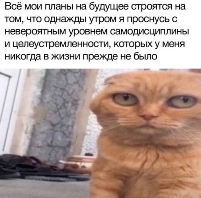 � �� ������ �������, ��� � ���� ������