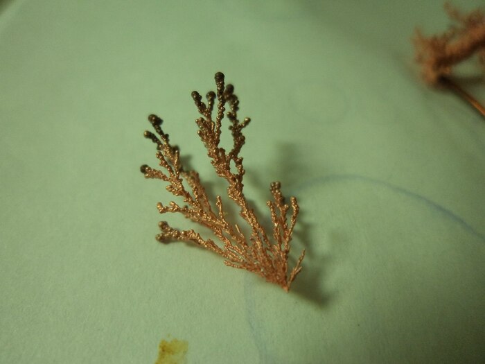 � ���������� �����������