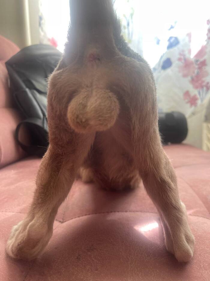 ����� ������ ���������� ����))