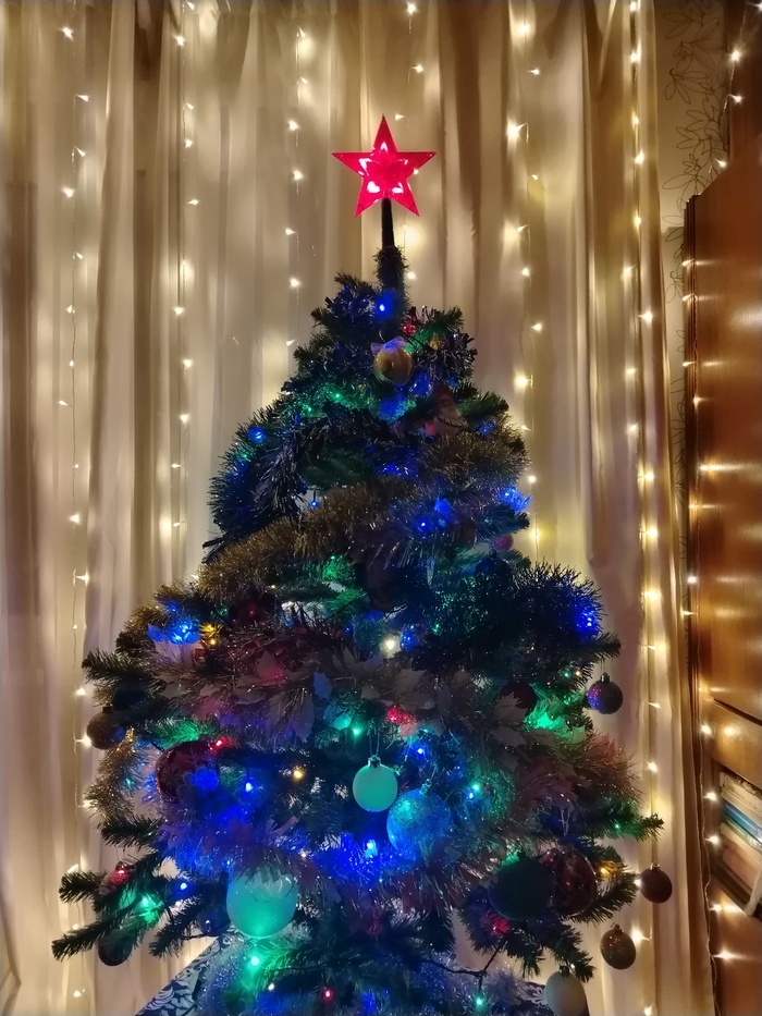 ��� ����