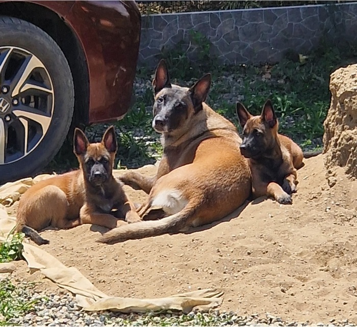 ����� �� ���� ��� ������ ���� ������ � ���� ����