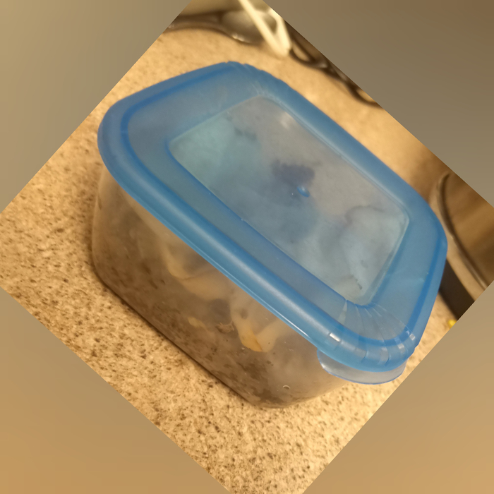 ��� � ����� ��� ������ ����� � ������������. ����� � ��������.