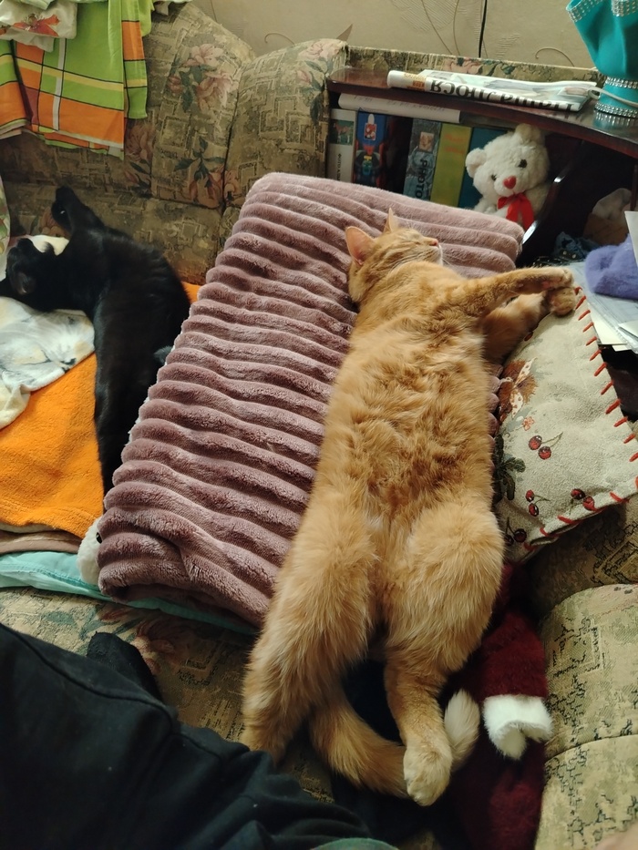 ����� �� ��������� � ���� ��