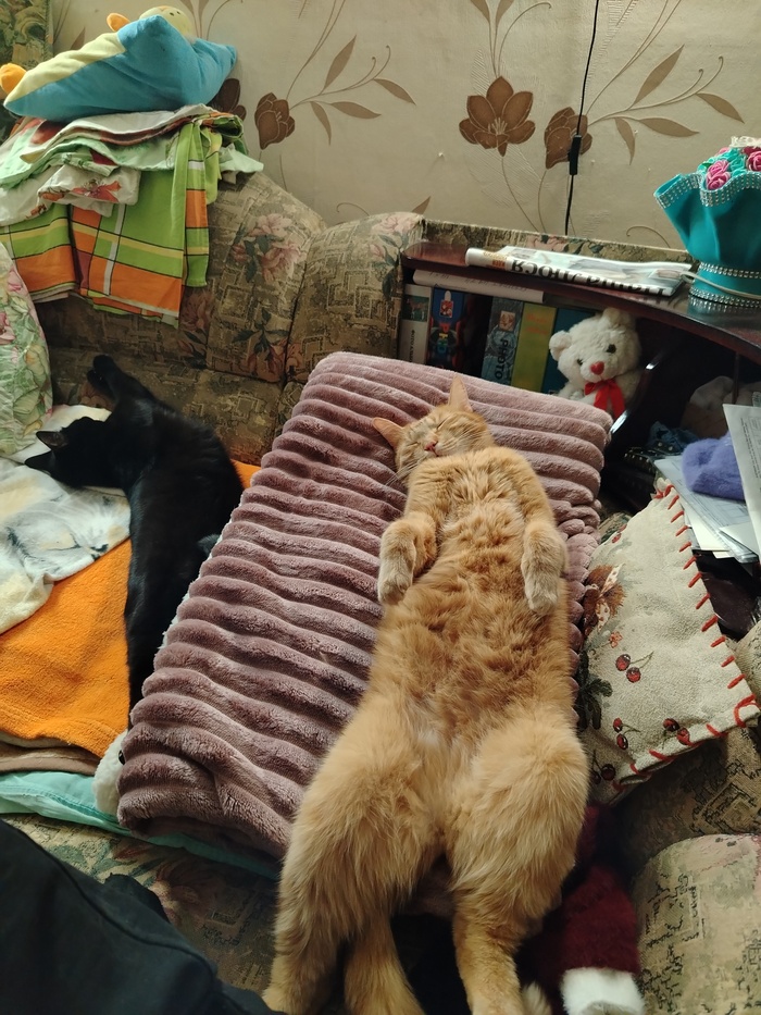 ����� �� �������