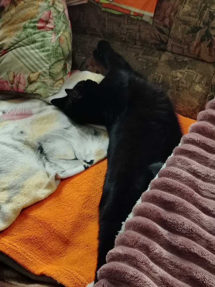 ����� �����, ��� ���������� ���