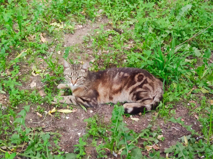 ����������� ����� � ������� 93 �� �����