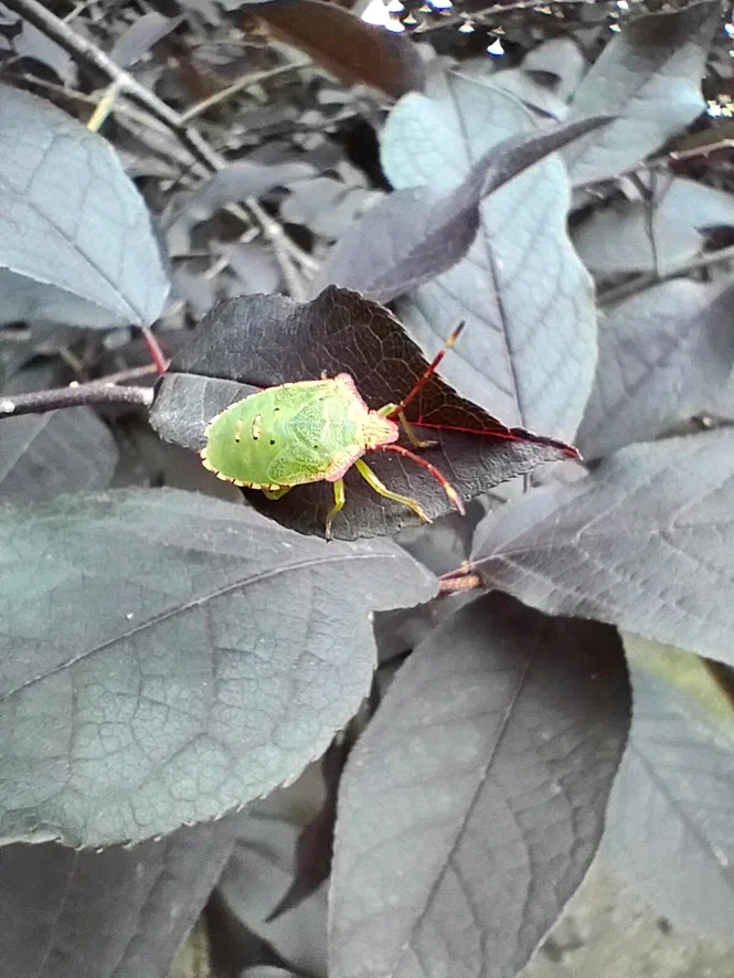 ������� � ���������� �� ����� �������