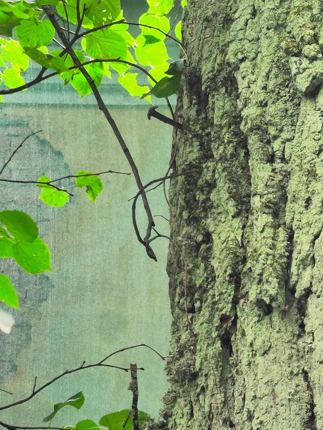 ��������� ������, ������ � �������� ������ �� ������ �������� 3 ������, ����� � �������������� �����. ����� ��� �� ������ ��� 100 ��������