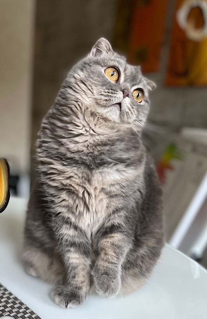 �� ������ ���� �����