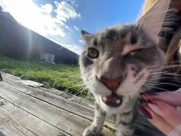 ����� �� ���� ���������� �� �� ������ ������� ���� ����. ���� � �� ��. ������� � ������ ����. �������� ���!�