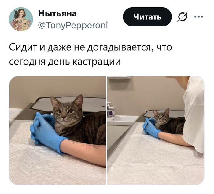 Сидеть сложа руки