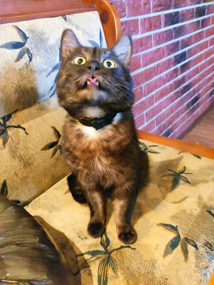 ����� �� ���� ���������� �� �� ������ ������� ���� ����. ���� � �� ��. ������� � ������ ����. �������� ���!�