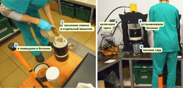 ���� ������ �������� � ������ ������� � ������ � ����