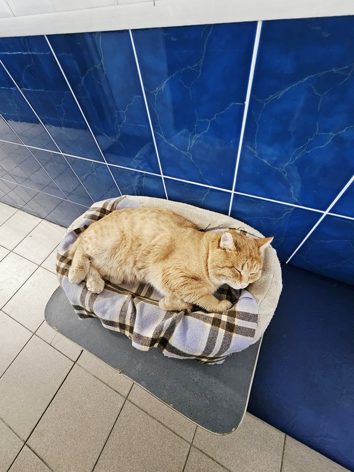 ����� ���� ���� ��� ������