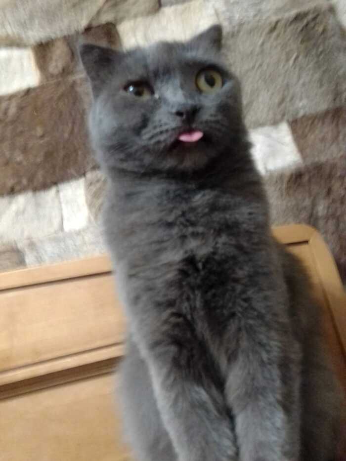 ����� Iridiz � ���������� �� �� ������ ������� ���� ����. ���� � �� ��. ������� � ������ ����. �������� ���!�