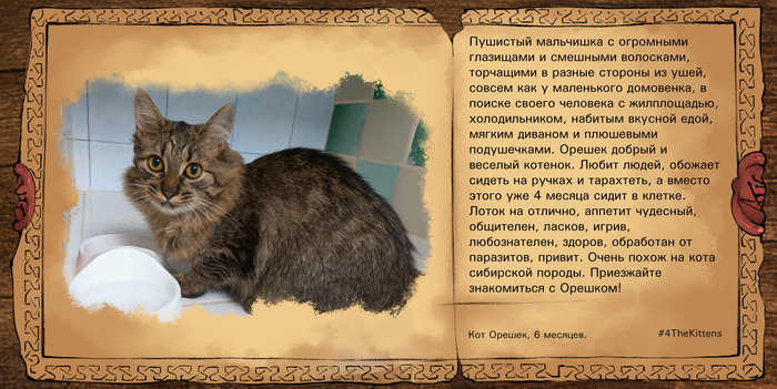 ������� ��� ���� ������ ���