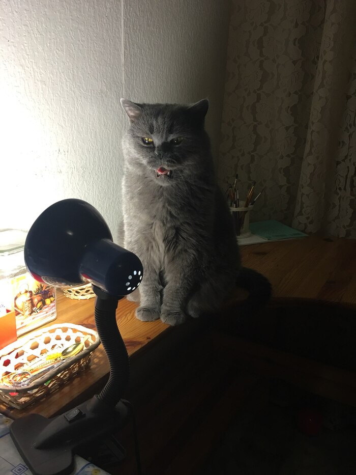 ����� �� ���� ���������� �� �� ������ ������� ���� ����. ���� � �� ��. ������� � ������ ����. �������� ���!�