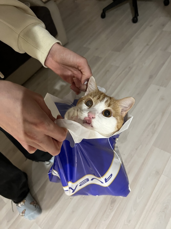 ����� �� ���� ���������� �� �� ������ ������� ���� ����. ���� � �� ��. ������� � ������ ����. �������� ���!�