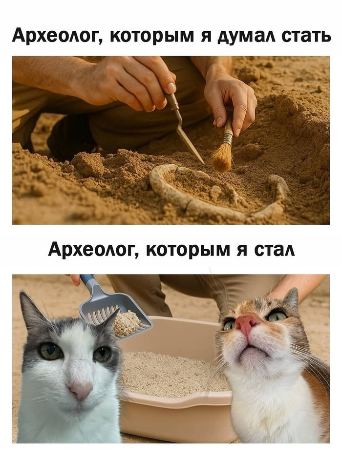 ���� ���������!