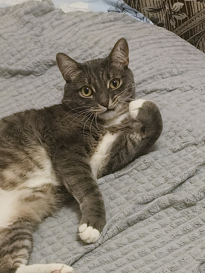 ����� �� ���� ���������� �� �� ������ ������� ���� ����. ���� � �� ��. ������� � ������ ����. �������� ���!�