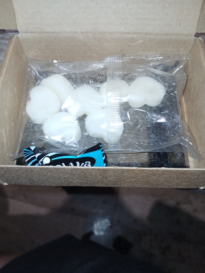 �� �����-���� ��� �������� ���� ��������. � ��� � �� �����, � ���� � ��� �������� �����.