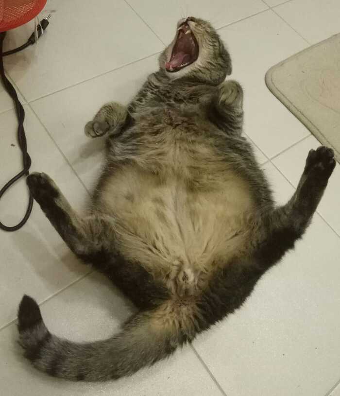 ����� �� "������ ���� � ��������"