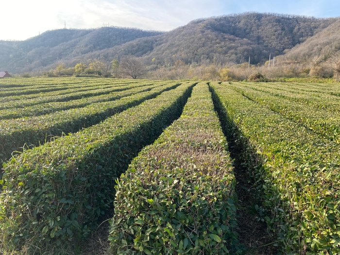 ������������� ��� ������ ��� � �������, ��� ������� ������, �������� �� ��������� (����)