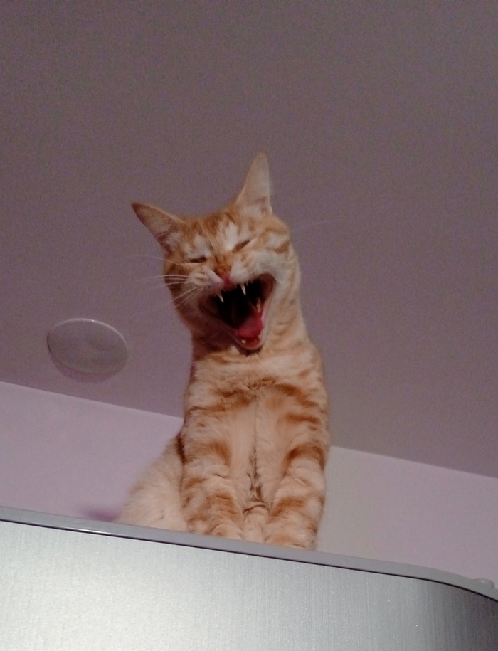 ����� �� ���� ���������� �� �� ������ ������� ���� ����. ���� � �� ��. ������� � ������ ����. �������� ���!�