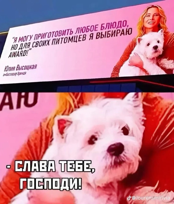 ������, ��� ������ � ����������