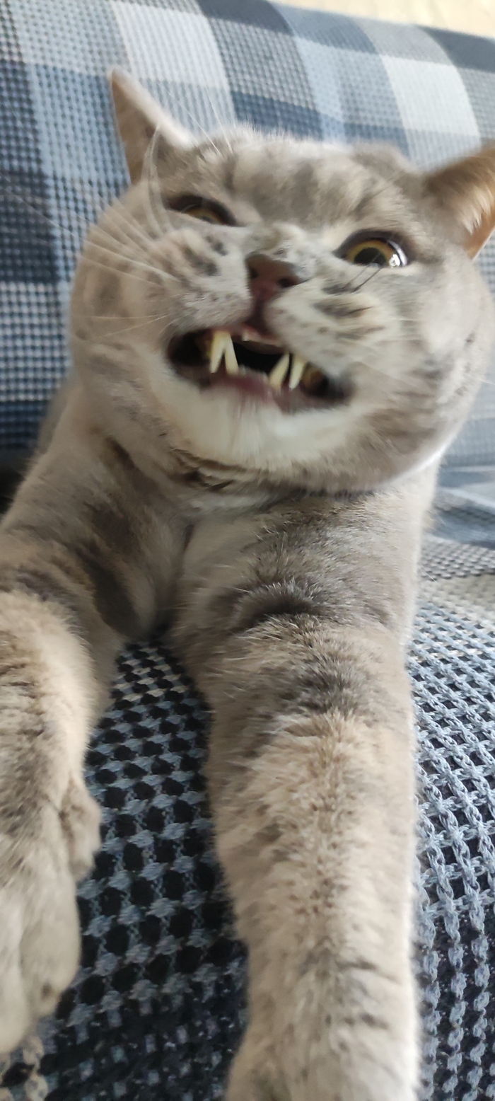 ����� �� ���� ���������� �� �� ������ ������� ���� ����. ���� � �� ��. ������� � ������ ����. �������� ���!�