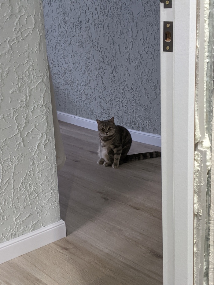 ����� �� ���� ���������� �� �� ������ ������� ���� ����. ���� � �� ��. ������� � ������ ����. �������� ���!�