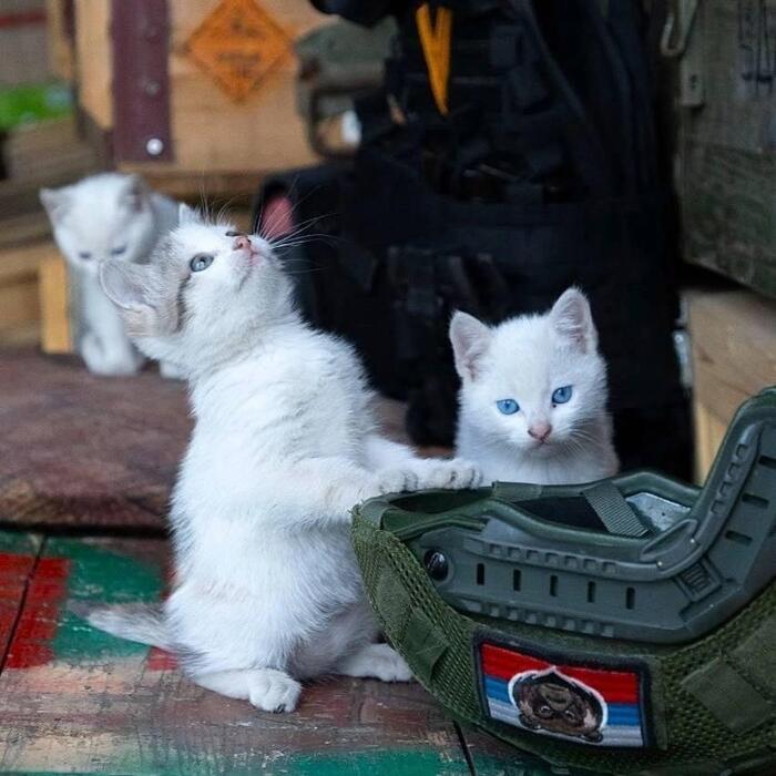 ��������� �������������� ������