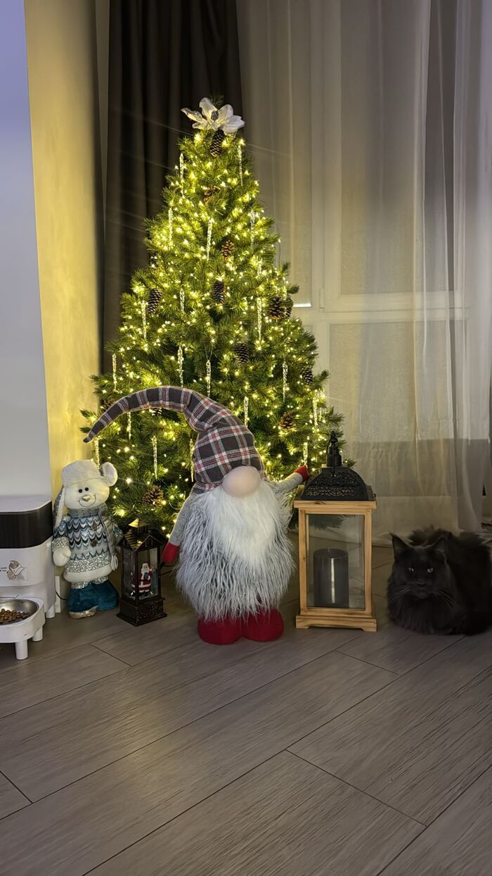 ��� ���������� ������� ����