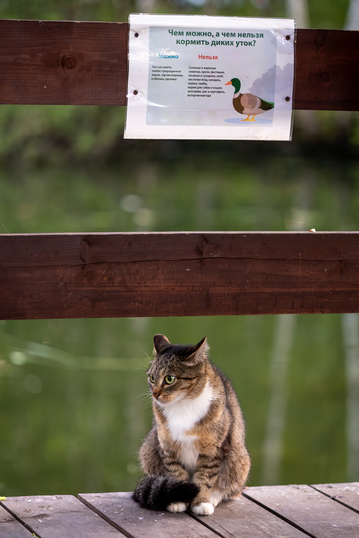 ����� ����� ��� ���������� �����. �� �� �������� ����� �� ����, �� �� �������� � ���� �� �� �����.