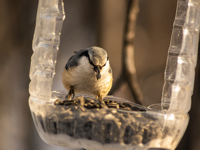 �������)