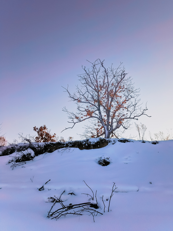 �������� �����