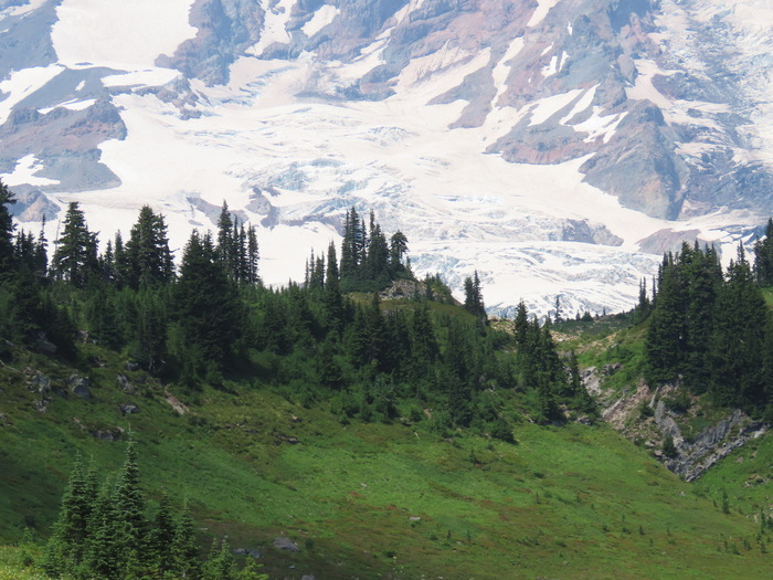 ������ ��������� �� ���� ������