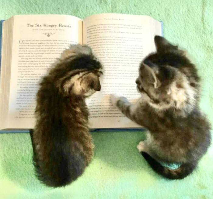 �������, ������� � ��� ��� �������