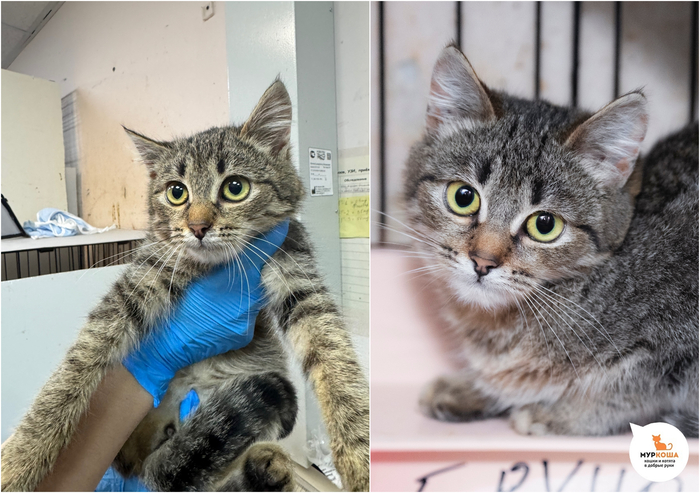 ������-������� ������, 4 ������. ����� �� ������ �����, 30 ������ 2025 ����.